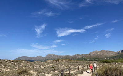 ¡Volver a pisar la arena!